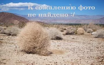 Коттеджный поселок «Смольный» Коттеджный поселок «Смольный»